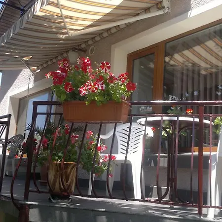 Kyurkchievi 3* Sapareva Banya