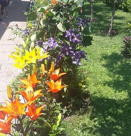 Kyurkchievi Konukevi