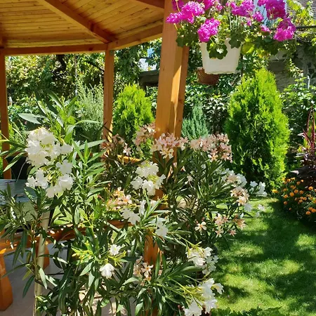 Konukevi Kyurkchievi Sapareva Banya