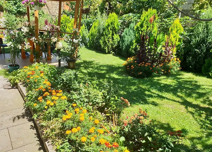 Kyurkchievi Penzion Sapareva Banja